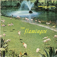 The Flamingos